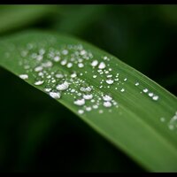 Night Time Moisture - Ayurveda, Deep Sleep Relaxation, Rain Recorders