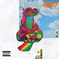Lavender Boombox - Miniature Tigers