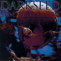 Fall whatever falls - Darkseed