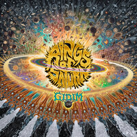 The Husk - Rings of Saturn