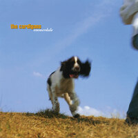 Black Letter Day - The Cardigans