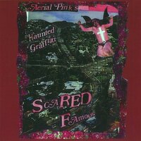 In a Tomb All Your Own - Ariel Pink