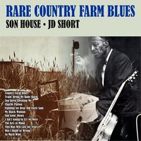 Was I Right or Wrong - Son House