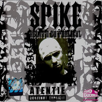 Sub papuc S.R.L - Spike