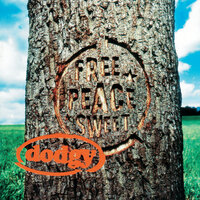 Prey For Drinking - Dodgy