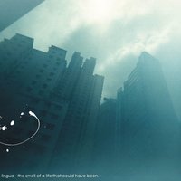 Aftermath - Lingua