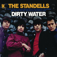 19th Nervous Breakdown - The Standells