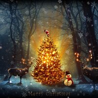 First Noel - New Christmas, New Age, Relajacion Del Mar