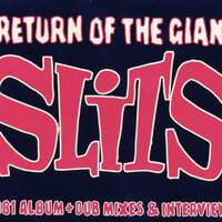 Animal Space - The Slits