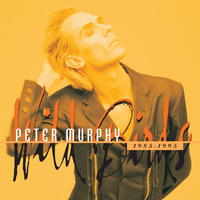 Final Solution - Peter Murphy