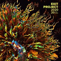 Not a Game, 2007 - EXIT project