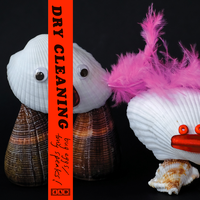 Bug Eggs - Dry Cleaning