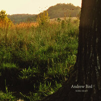 Tenuousness - Andrew Bird