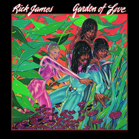Mary-Go-Round - Rick James