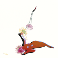 Shadows - Future Islands, Deborah Harry