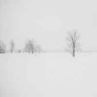 January Joy - Ayurveda, Magic Winter, Dormir Profundamente, Dormir Profundamente, Ayurveda