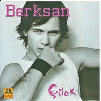 Çilek - Berksan