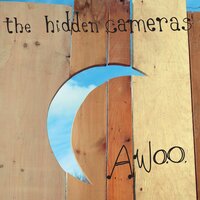 She's Gone - The Hidden Cameras