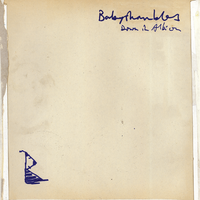 Sticks and Stones - Babyshambles