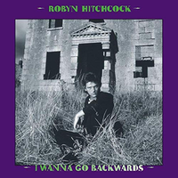 Executioner - Robyn Hitchcock