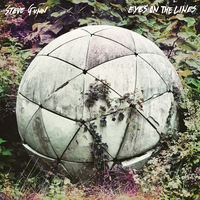 Conditions Wild - Steve Gunn