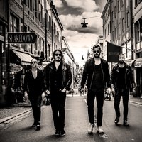 Shakedown - degreed