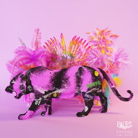 Savage - Paces, Nyne