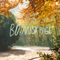 Botanisk Hage - Cezinando