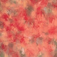 Cherry Blossom - Crucial Star