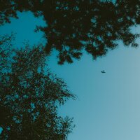 Hymn For The Weekend - Izzamuzzic, Jemma Johnson