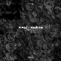 Никто тебя не вспомнит - KALI, Райда