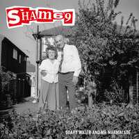 Little Bit of This - Sham 69