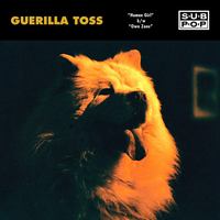 Own Zone - Guerilla Toss
