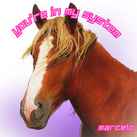 Marcelo