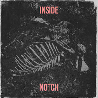 Notch