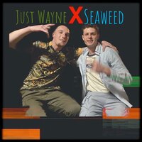 Seaweed