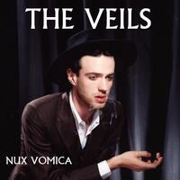 The Veils