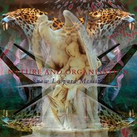 Bloodstreamruns - Nature and Organisation, Current 93