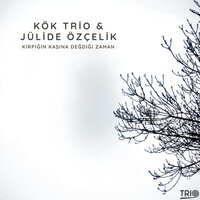 Jülide Özcelik