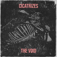 The Void