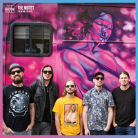 The Motet