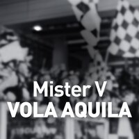 Mister V