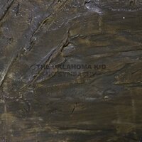 The Oklahoma Kid