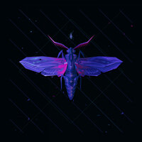 Electric Mantis