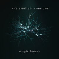 The smallest Creature