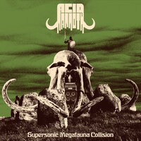 Acid Mammoth