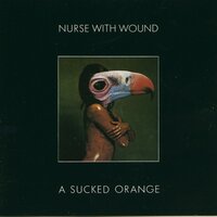 Nurse With Wound