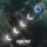 Blackbirds feat. Leo Stannard - CamelPhat