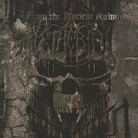 My Veins are open - Setherial