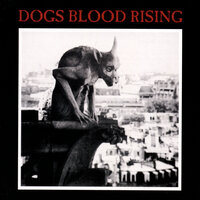 From Broken Cross, Locusts - Current 93